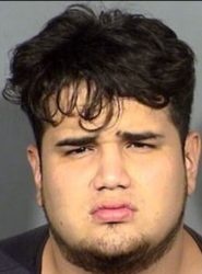 Jewelry crime report - March 2017 - pig mask suspect.jpg
